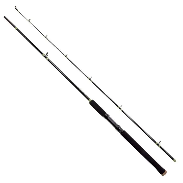 Eagle Claw ECCAT96C Cat Claw 2 Casting Catfish Rod 9'6" 2 Pc