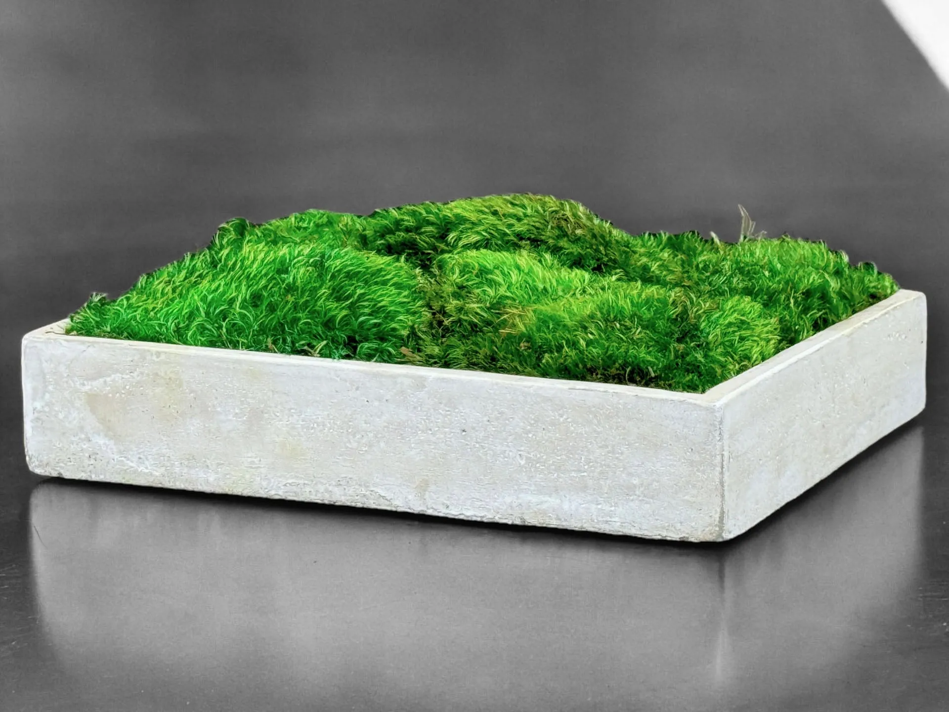 Mood Moss Center Piece